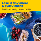  MealBox 4-cup Divided Glass Food Storage Container with text take in anywhere &amp; everywhere