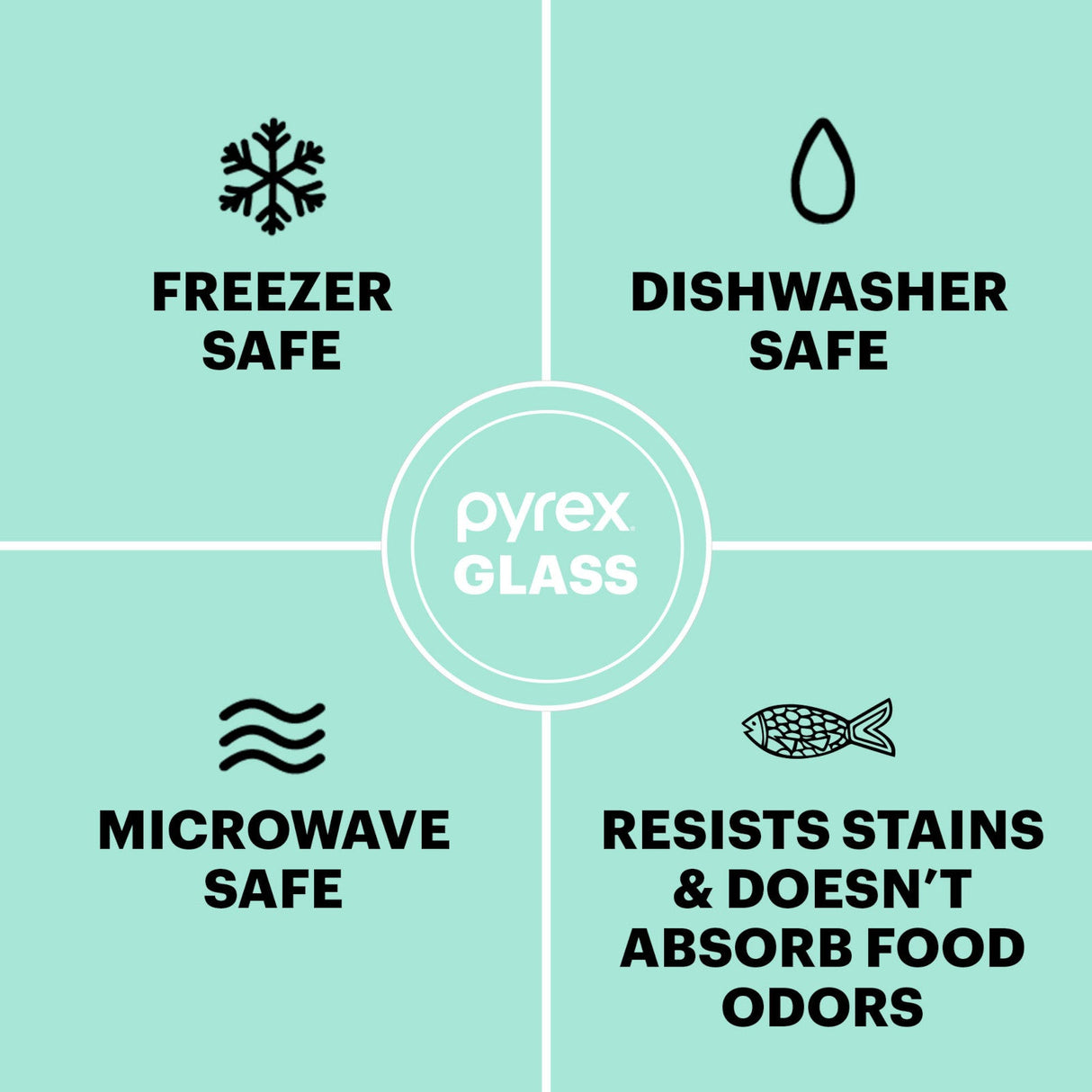 text freezer, dishwasher & microwave safe; resists stains & doesn't absorb food odors