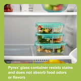 Snapware divided storage in fridge with text Pyrex glass container resists stains & does not absorb food odors or flavors